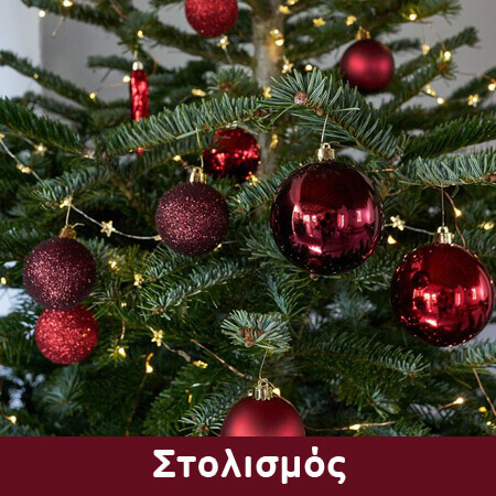 banner_450x450_xristoug-stolismos