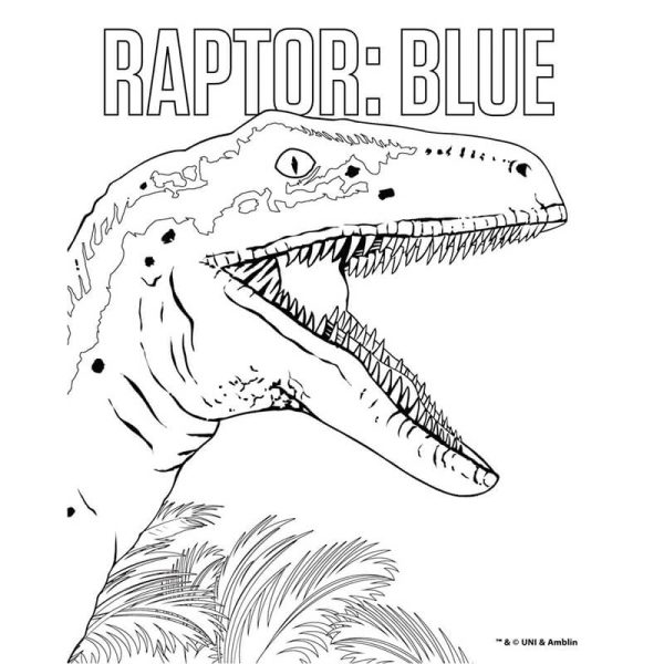 ΖΩΓΡΑΦΙΚΗ ΣΕΤ ΜΕ ΠΡΟΣΧΕΔΙΑΣΜΕΝΕΣ ΣΕΛΙΔΕΣ JURASSIC 570743 - Image 4